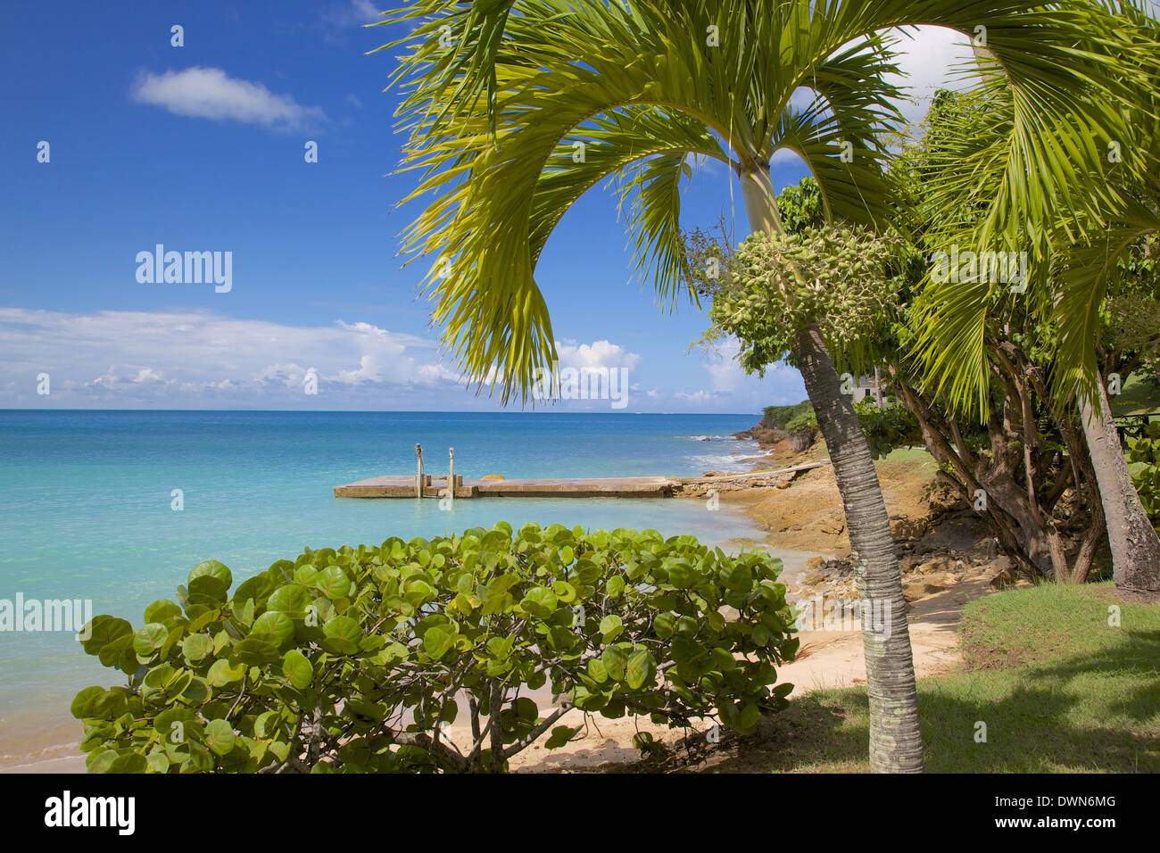 St. Johns, Antigua, Leeward Islands, West Indies, Caribbean, Central America Stock Photo