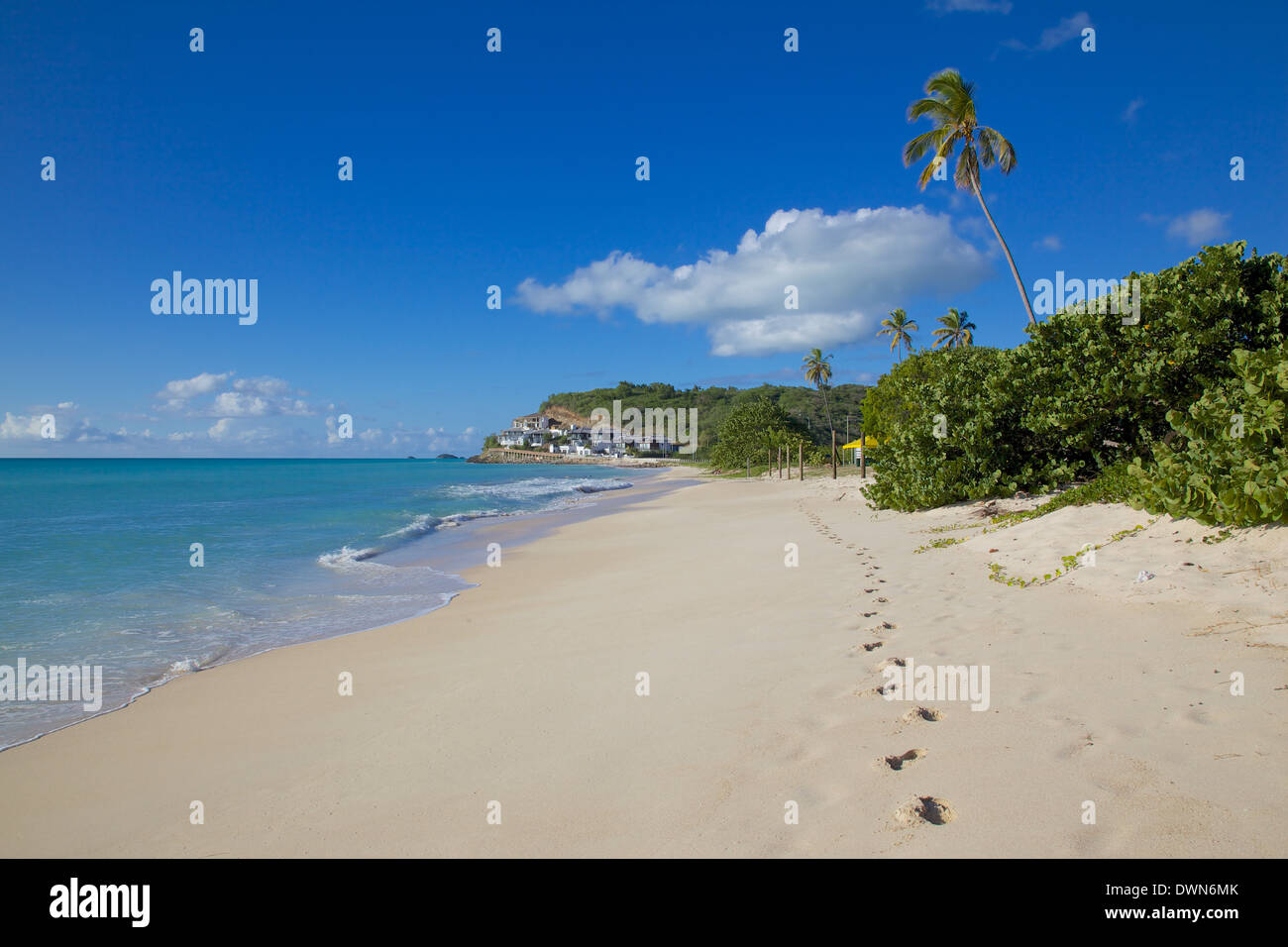 Darkwood Beach, St. Johns, Antigua, Leeward Islands, West Indies, Caribbean, Central America Stock Photo