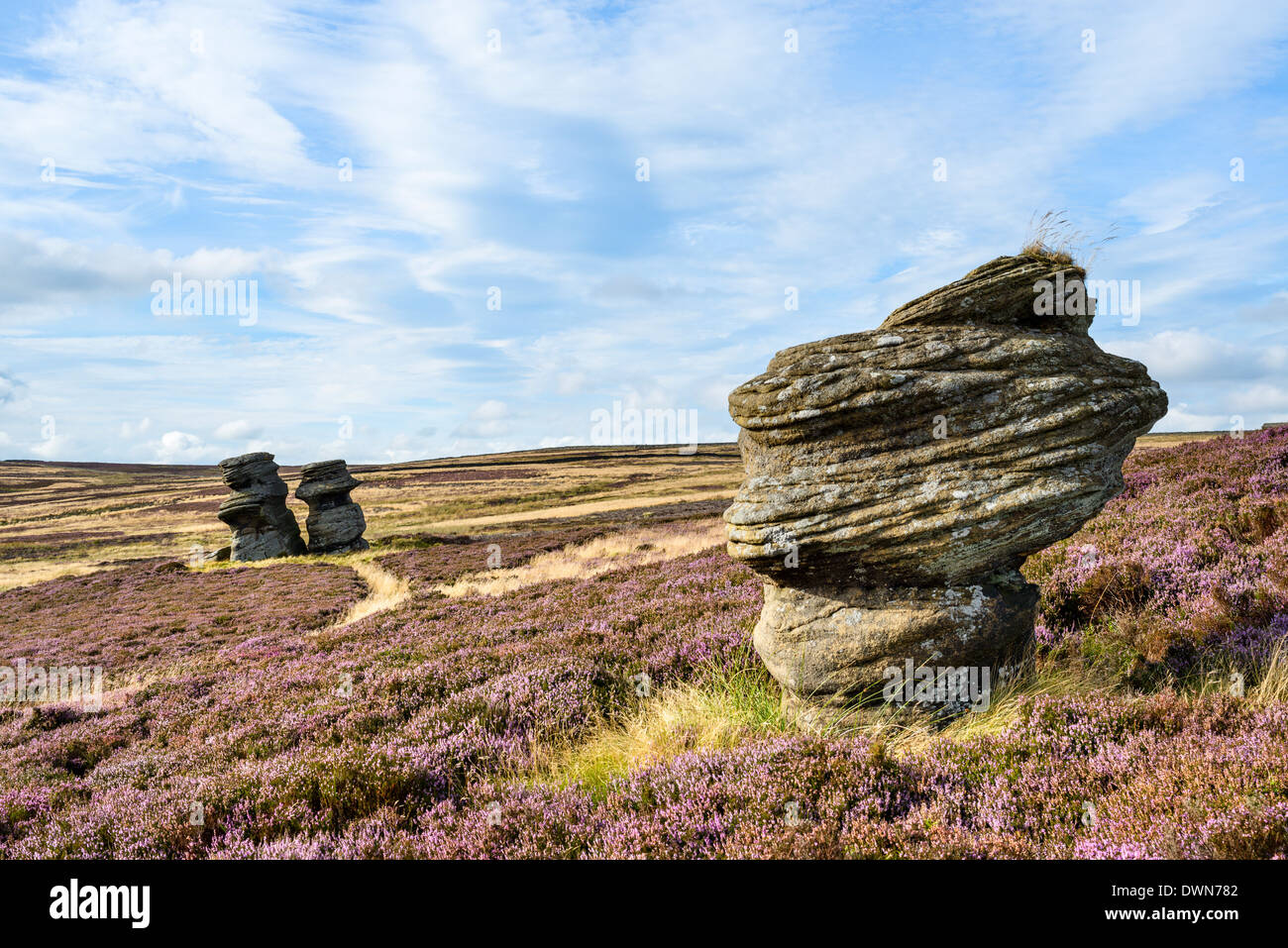 Woman and daughter, gritstone formations on heather covered moors, Upper Nidderdale, North Yorkshire, Yorkshire, England, UK Stock Photo