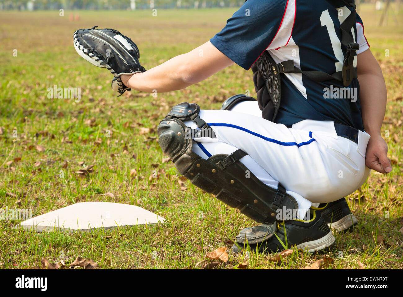 baseball catcher ready to catch ball at home plate in baseball field