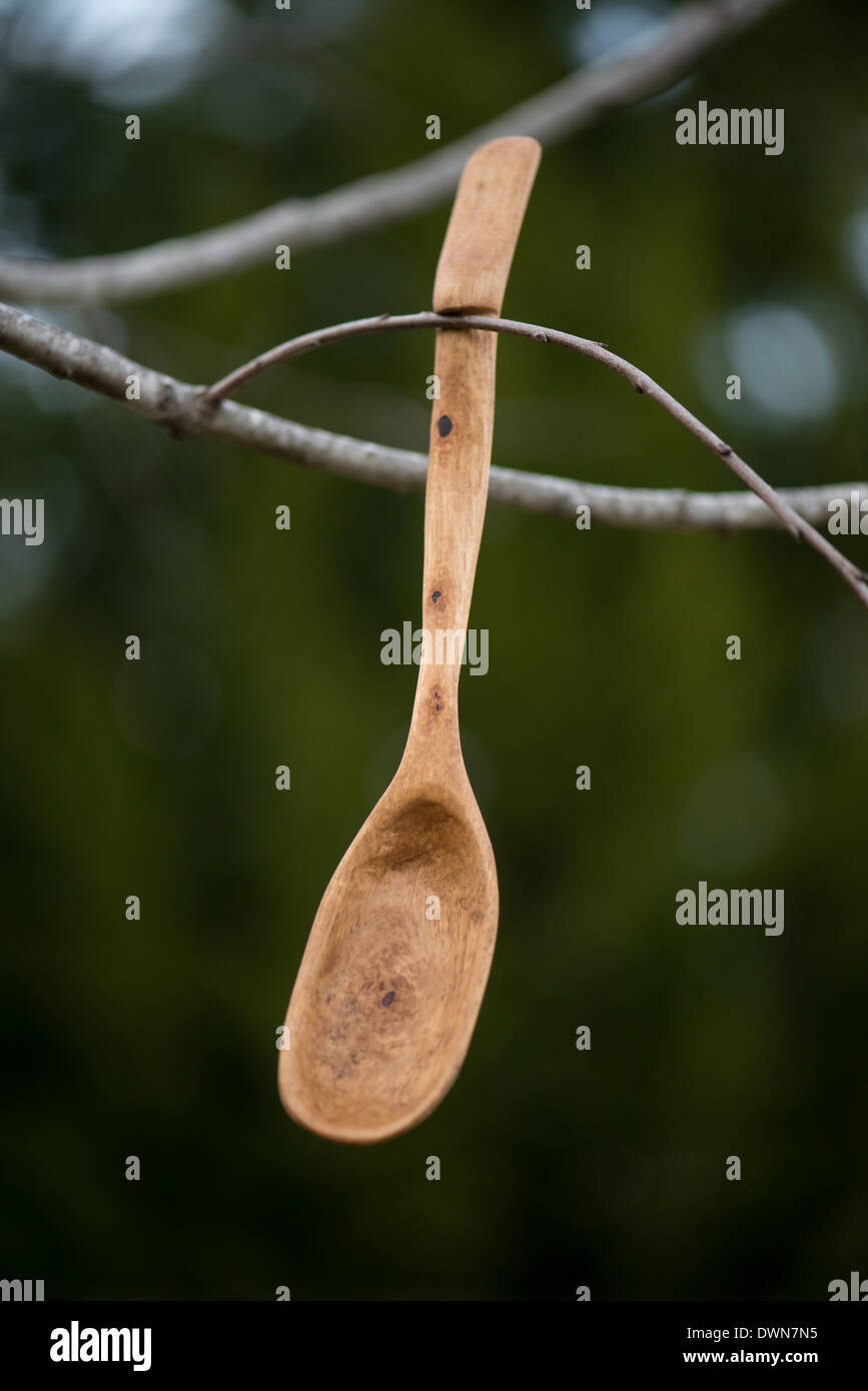 Wooden spoon, hand carved from a Pecan (Carya illinoinensis) limb