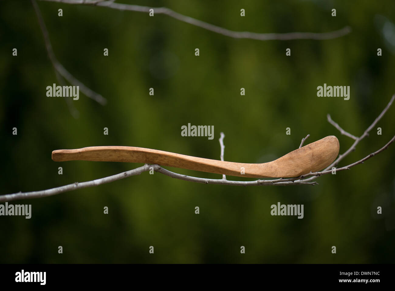 Wooden spoon, hand carved from a Pecan (Carya illinoinensis) limb