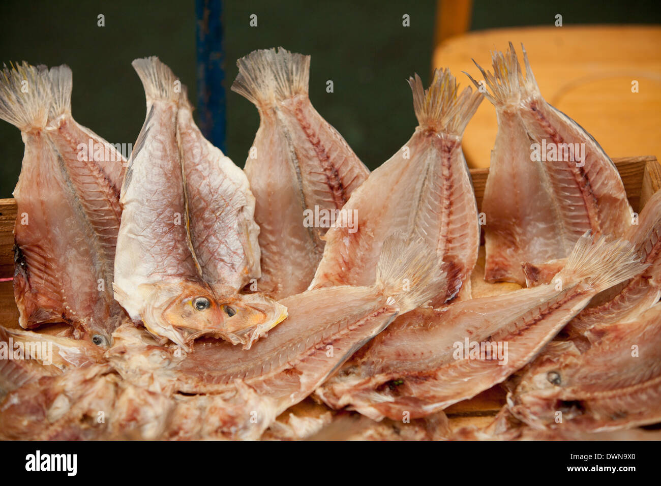 Dried fish on a market, Jeju, Korea Stock Photo Alamy