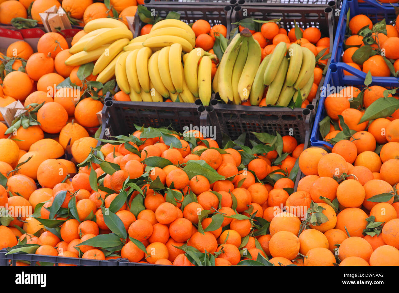 banana yellow and orange tangerines and other fruits for sale at the