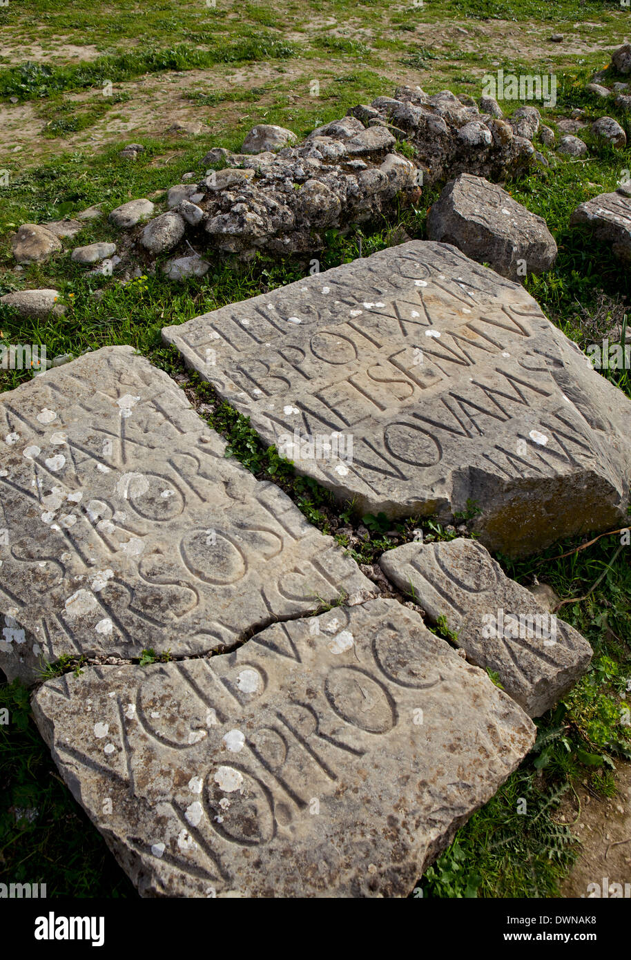 Carving on stone at the Roman archaeological site, Volubilis, UNESCO Site, Meknes Region, Morocco, North Africa, Africa Stock Photo