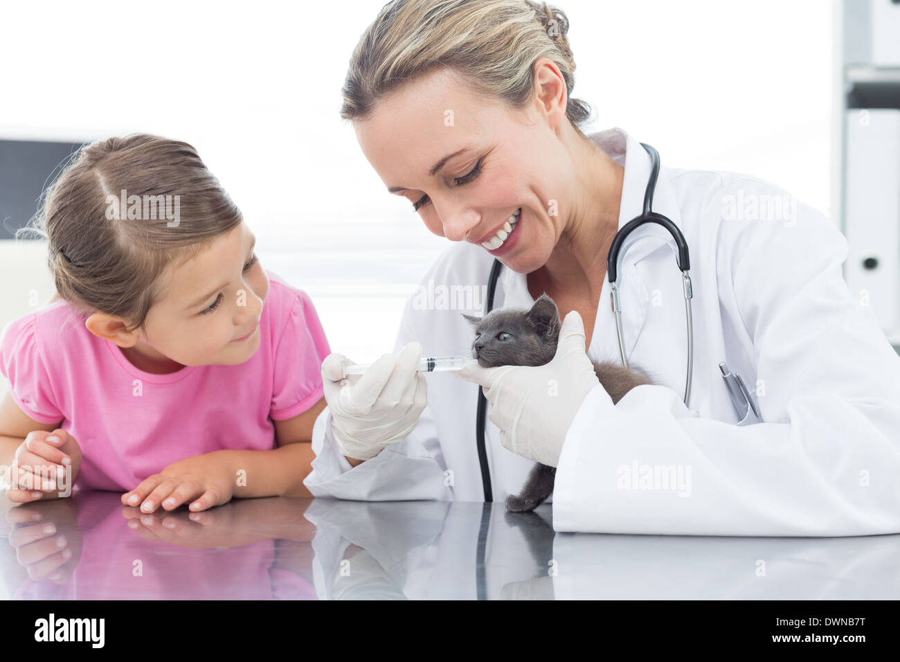 Vet giving cat medicine through mouth Stock Photo Alamy