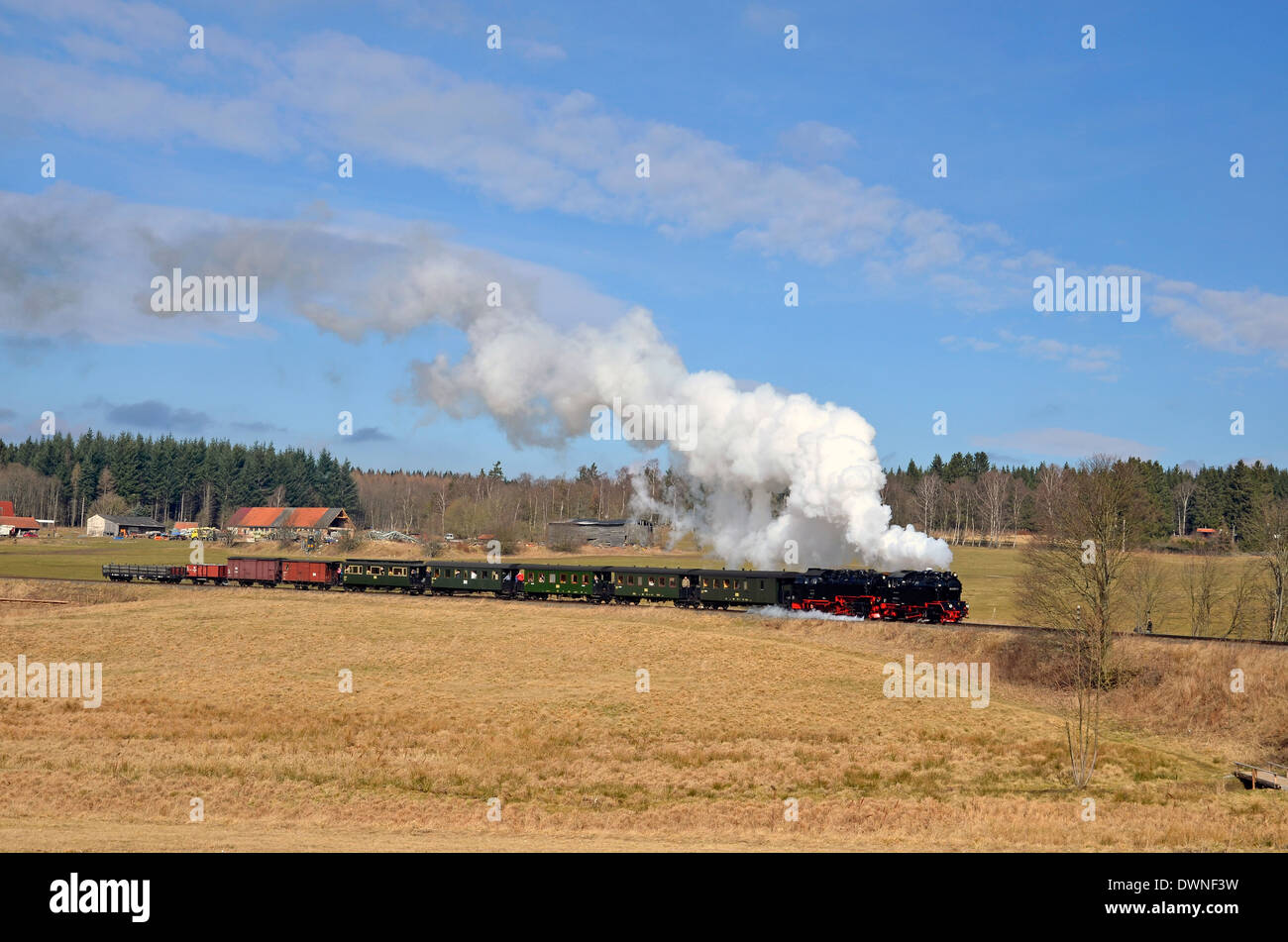 Harzer Schmalspurbahnen (HSB) trains in the Harz, Sachsen-Anhalt, Germany. Open country south of Bennekenstein. Stock Photo