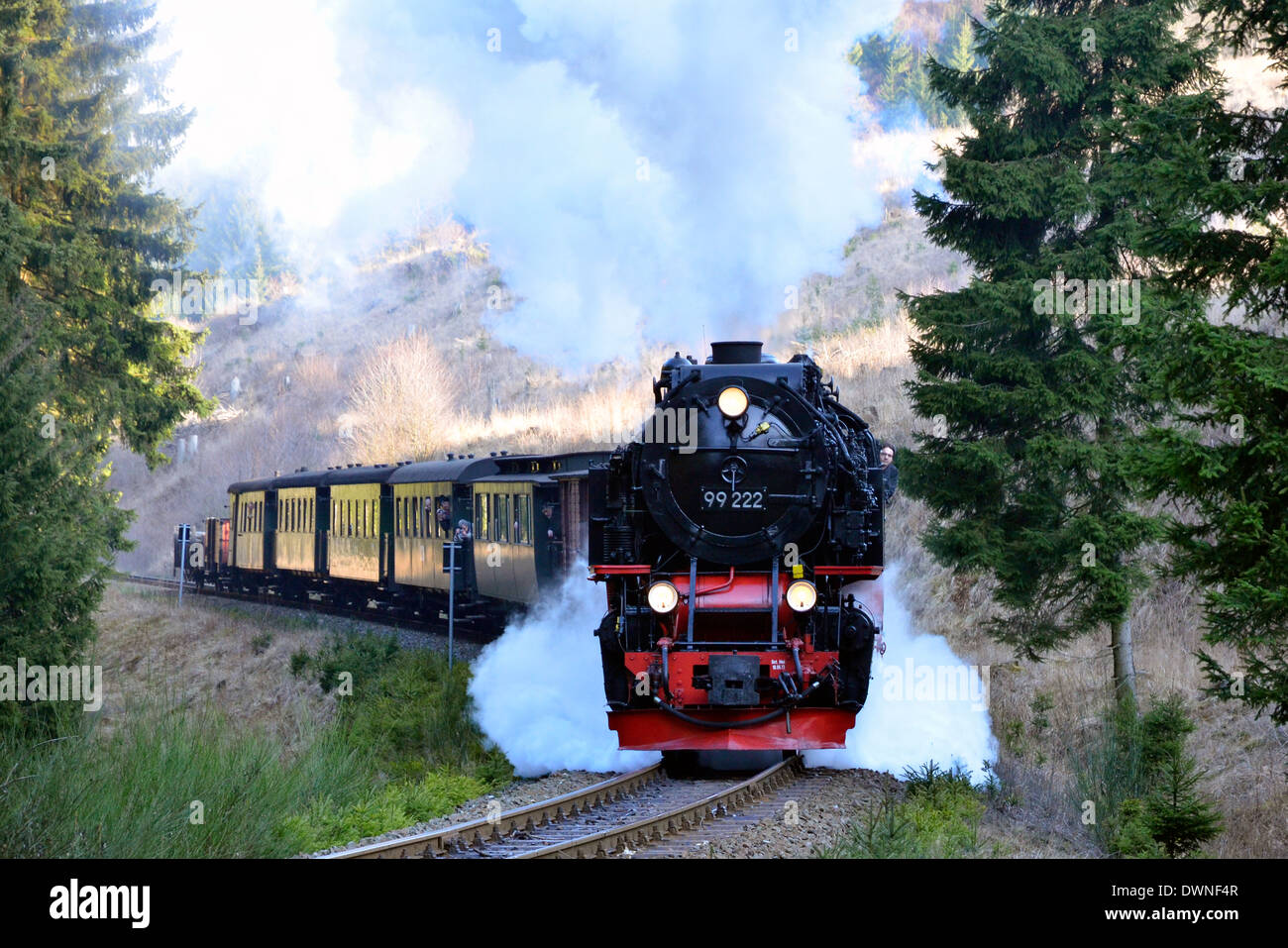 Harzer Schmalspurbahn (HSB) trains in the Harz, Sachsen-Anhalt, Germany. Train in the forest near Bennekenstein on the main line Stock Photo