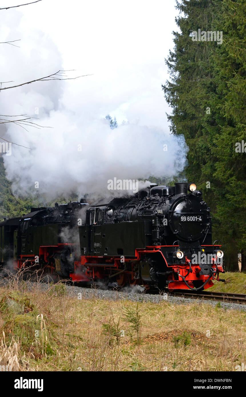 Harzer Schmalspurbahnen (HSB) trains in the Harz, Sachsen-Anhalt, Germany.Train in the forest near Eland. Stock Photo