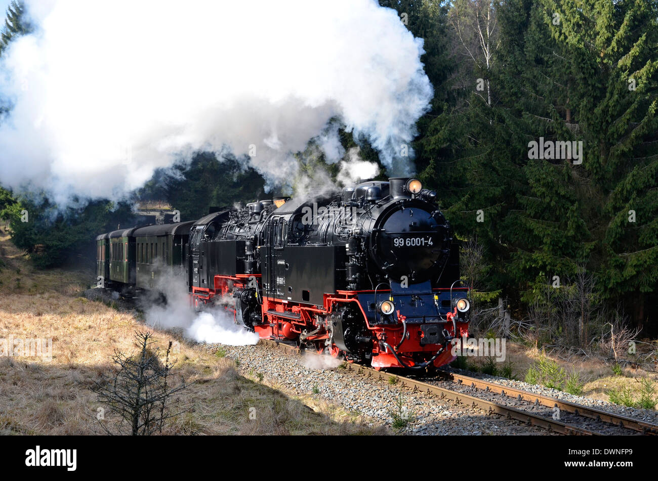 Harzer Schmalspurbahnen HSB) train in the Harz, Sachsen-Anhalt, Germany. Scene near Teifenbachmuhle on the Harzquebahn. Stock Photo