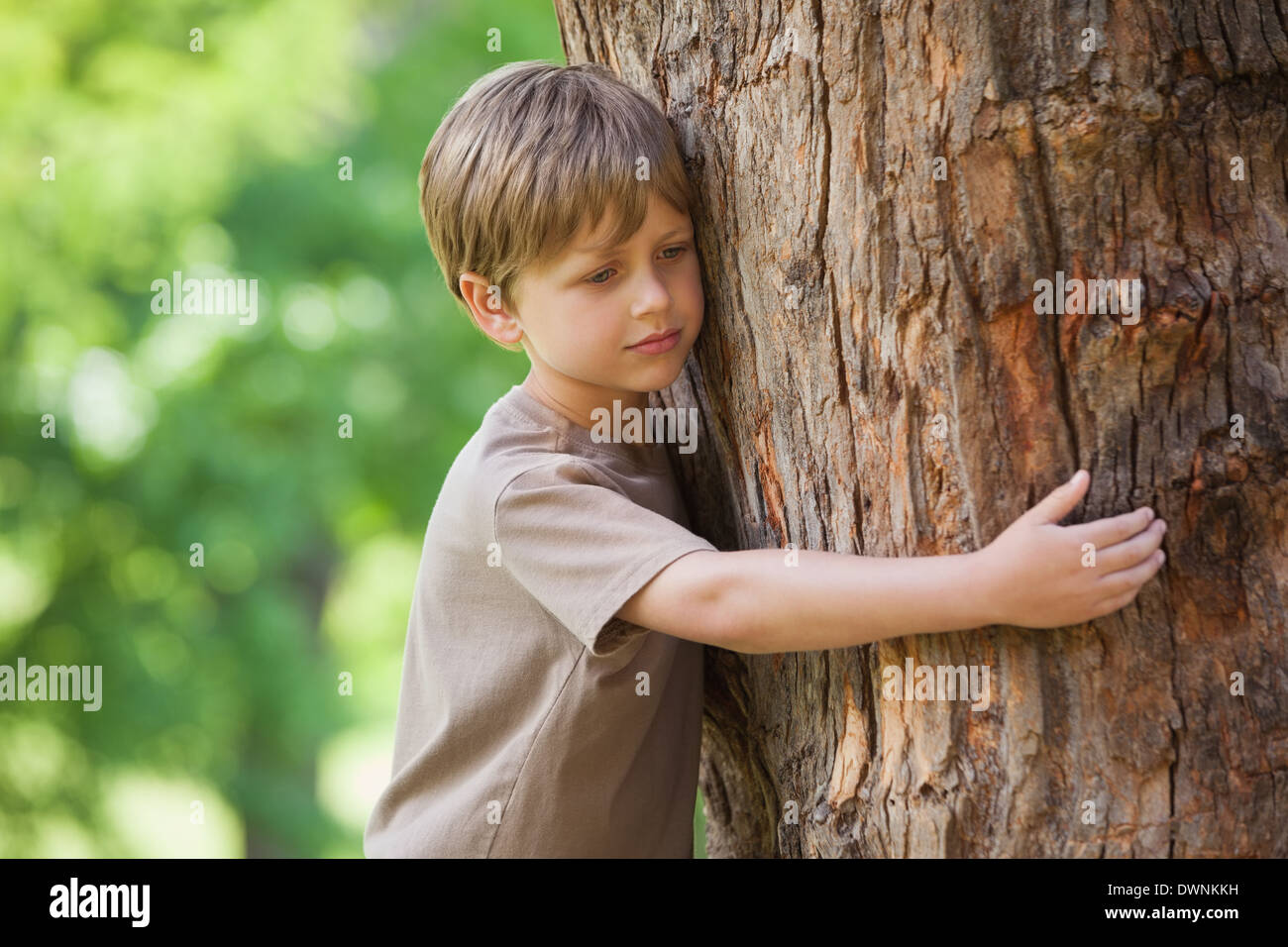 Boy hugging a tree at park Stock Photo Alamy