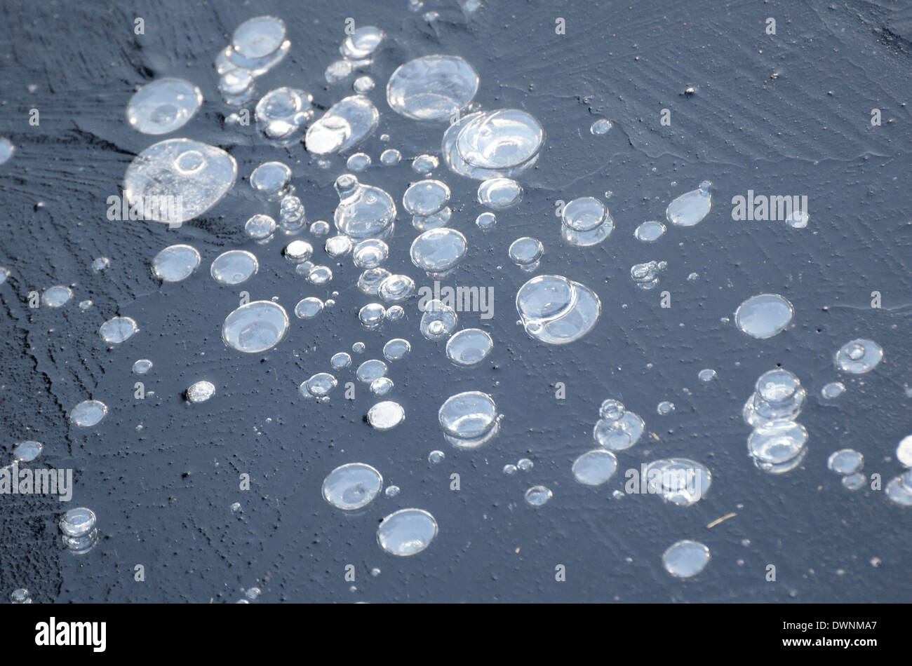 Air bubbles trapped in ice, Bavaria, Germany Stock Photo