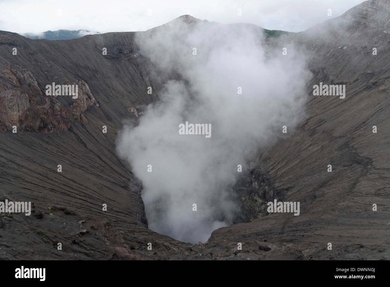 Volcano, rim of the crater, steam, Mount Bromo, Cemoro Lawang or Cemorolawang, Eastern Java, Indonesia Stock Photo