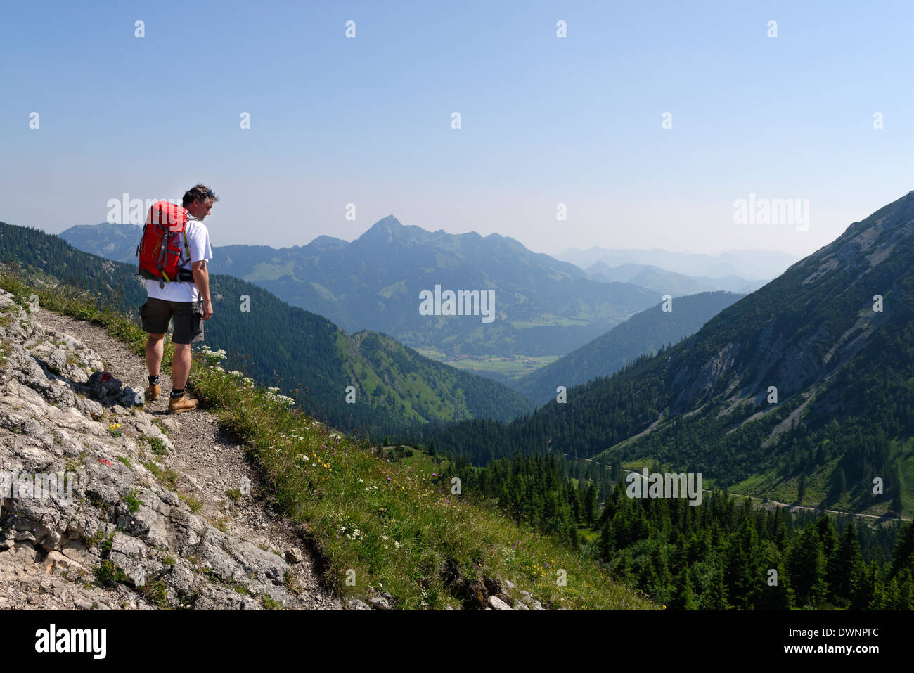 Hiker walking on the trail leading to Taubenstein mountain, Lake Spitzingsee area, Upper Bavaria, Bavaria, Germany Stock Photo