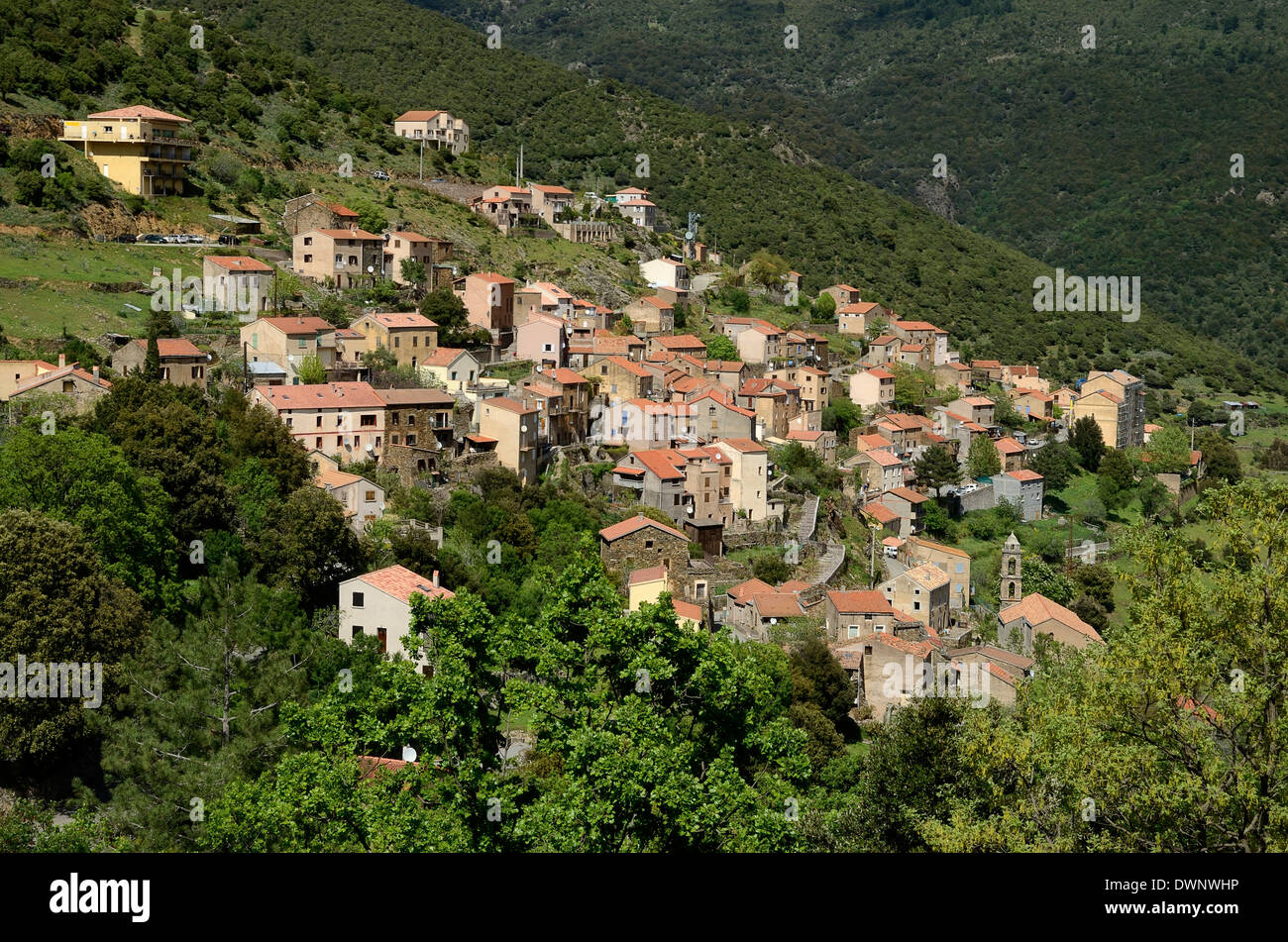 Mountain village of Asco, Asco Valley, Corsica, France Stock Photo