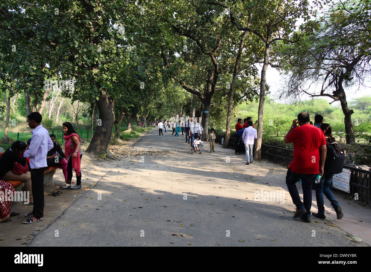 Visitors inside Delhi Zoo on tree lined road, some walking along and others watching animal enclosures on both sides of the road Stock Photo