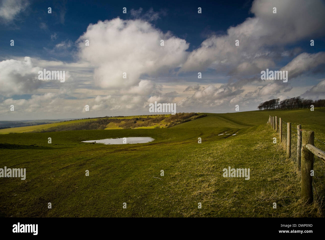 Neolithic dew pond near Chanctonbury Ring on the South Downs, West Sussex, UK Stock Photo