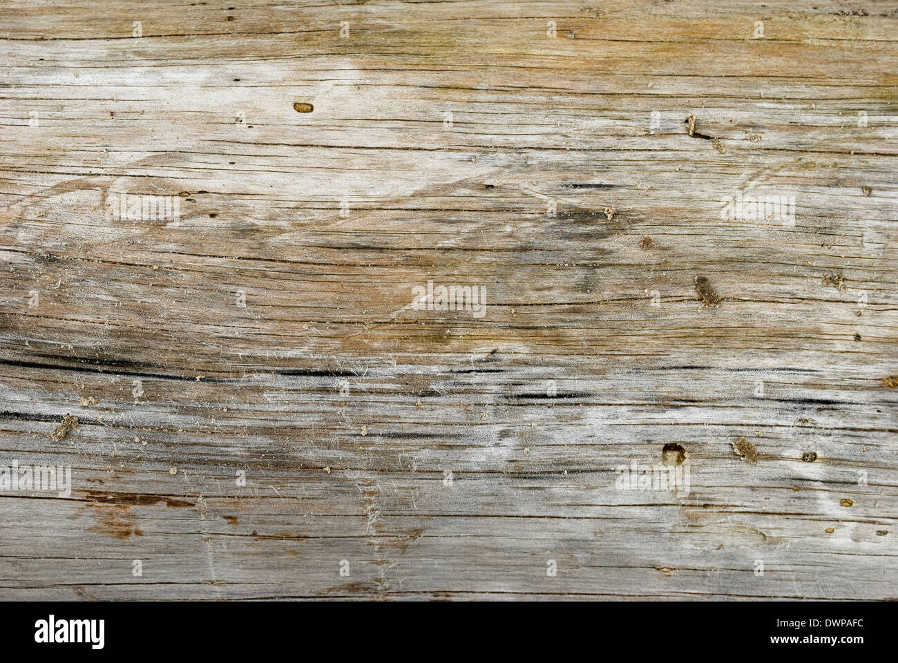 Texture of aged chapped board Stock Photo - Alamy