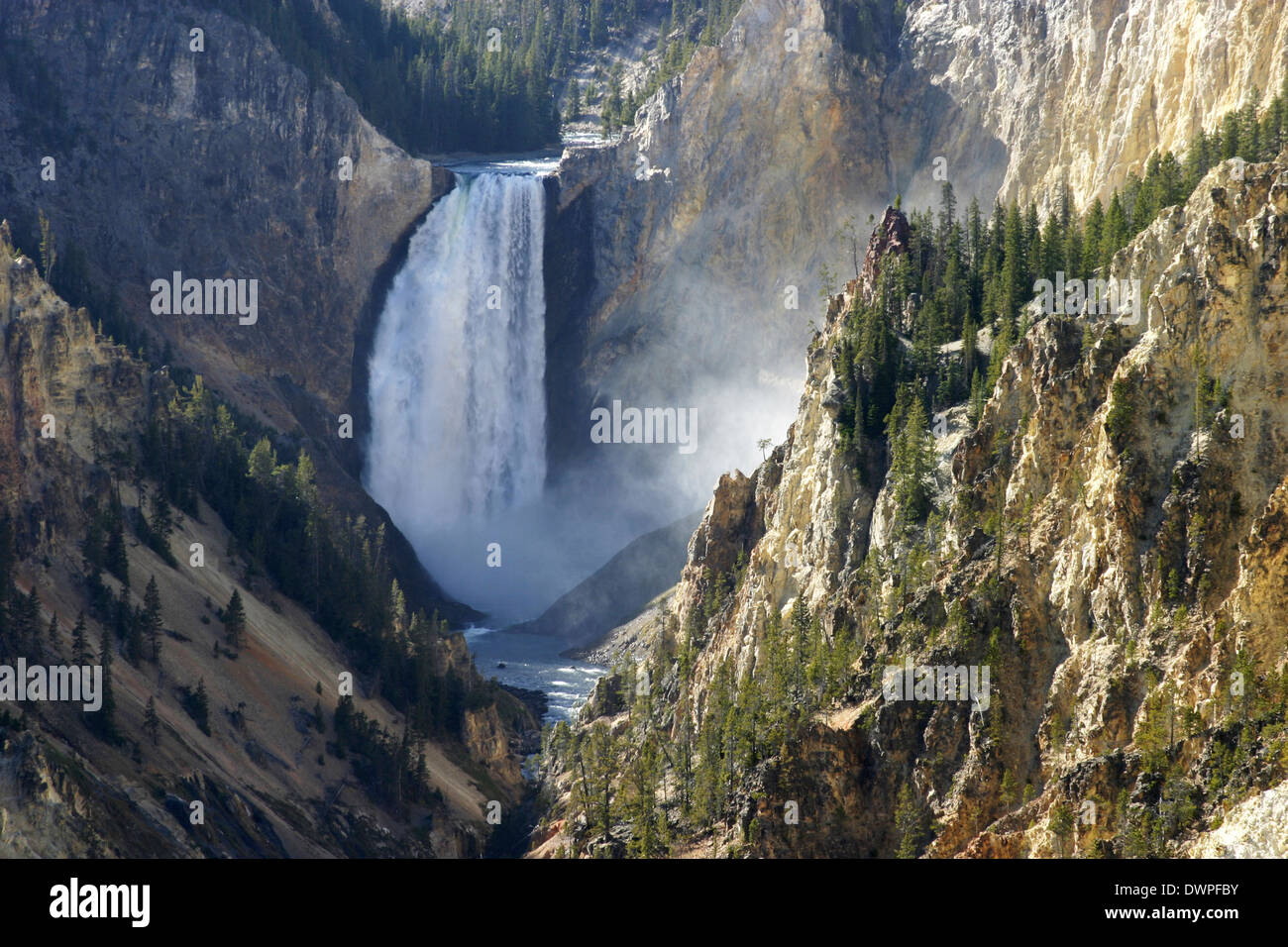 Grand Canyon of the Yellowstone Stock Photo Alamy