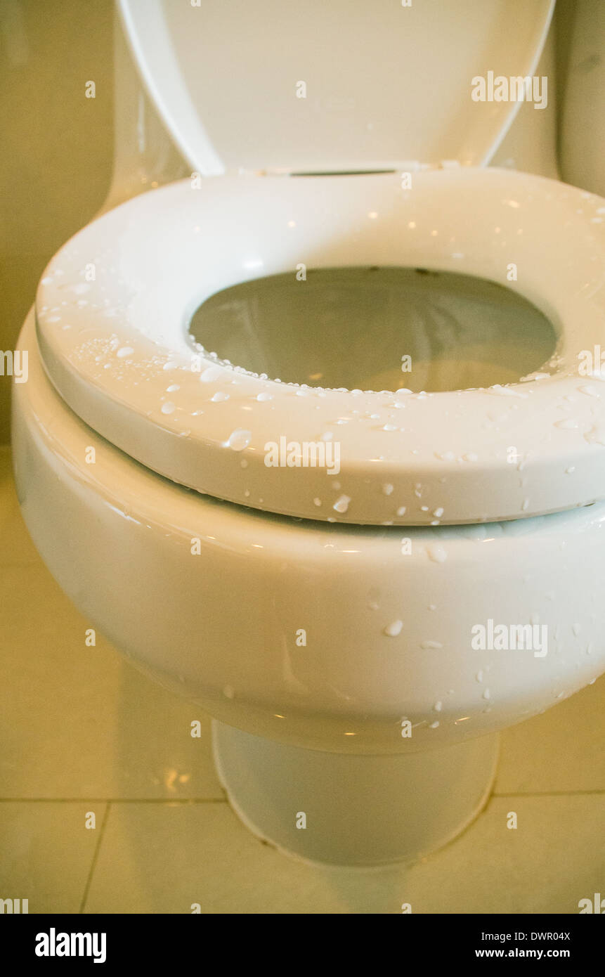 a wet toilet seat of a toilet bowl in hotel Stock Photo Alamy