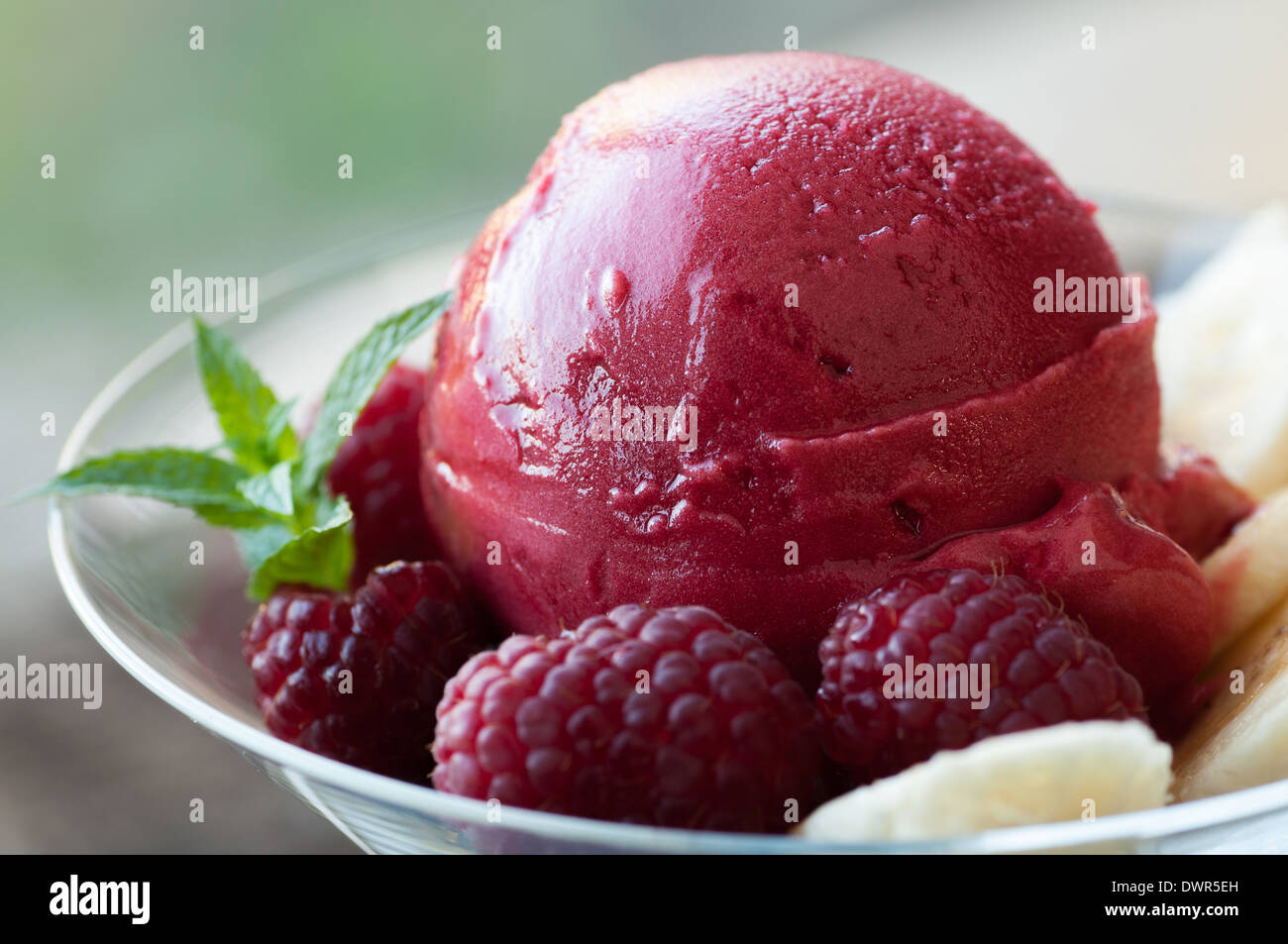Frozen fruit dessert with fresh fruit garnish Stock Photo Alamy