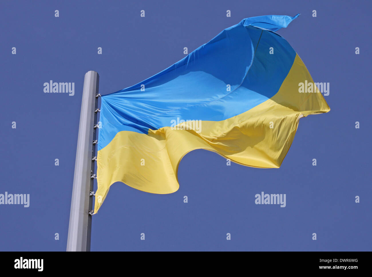 Ukrainian flag ukraine flag hires stock photography and images Alamy