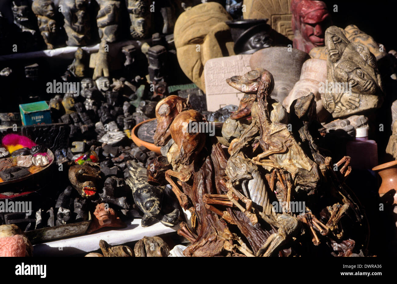 Llama fetuses and amulets in the Mercado de la Hechiceria ( Sorcery market). La Paz .Bolivia. Stock Photo