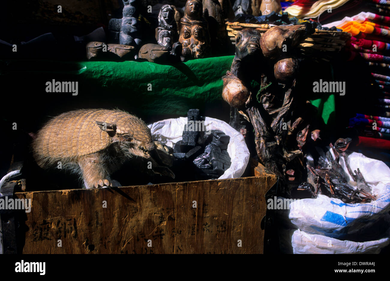 Hairy armadillo and llama fetuses and amulets in the Mercado de la Hechiceria ( Sorcery market). La Paz .Bolivia. Stock Photo