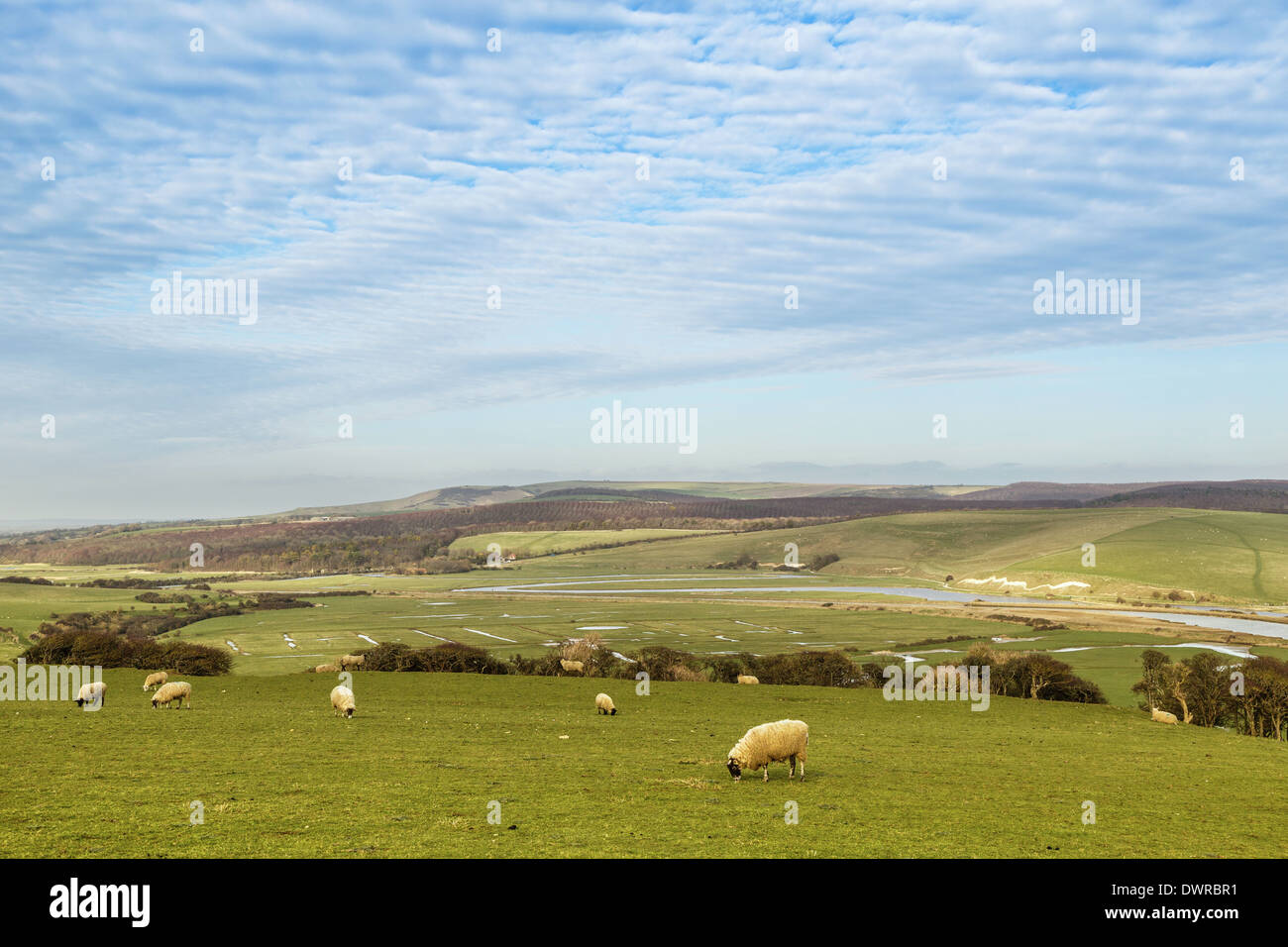 The Cuckmere valley from the Chalk cliffs, East Sussex, England Stock