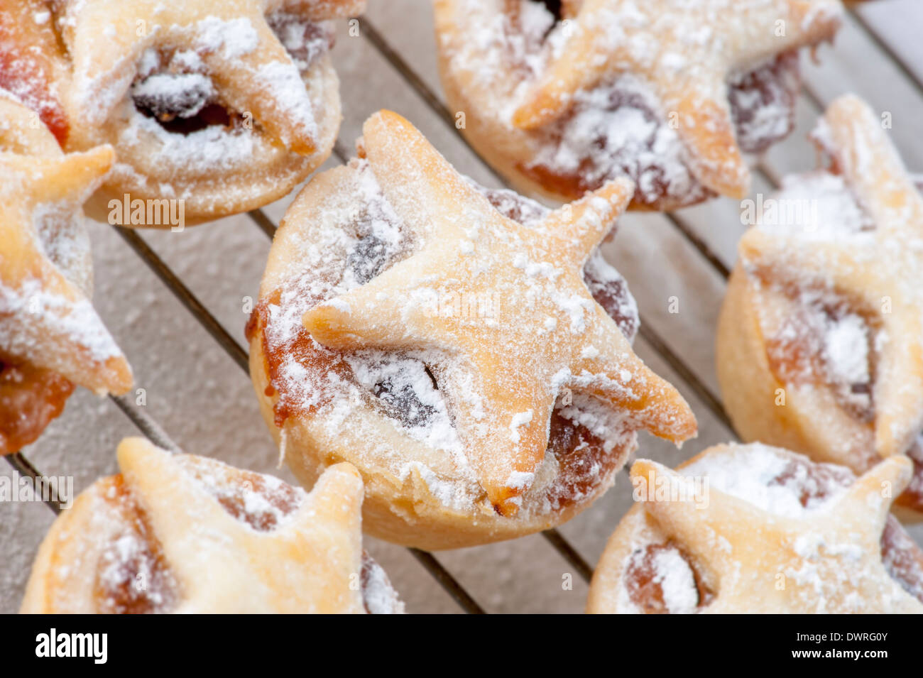 Home-made mince pies decorated with a pastry star and dusted with icing ...