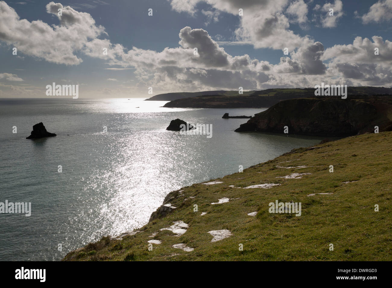 Berry Head; Looking Towards Dartmouth; Devon; UK Stock Photo