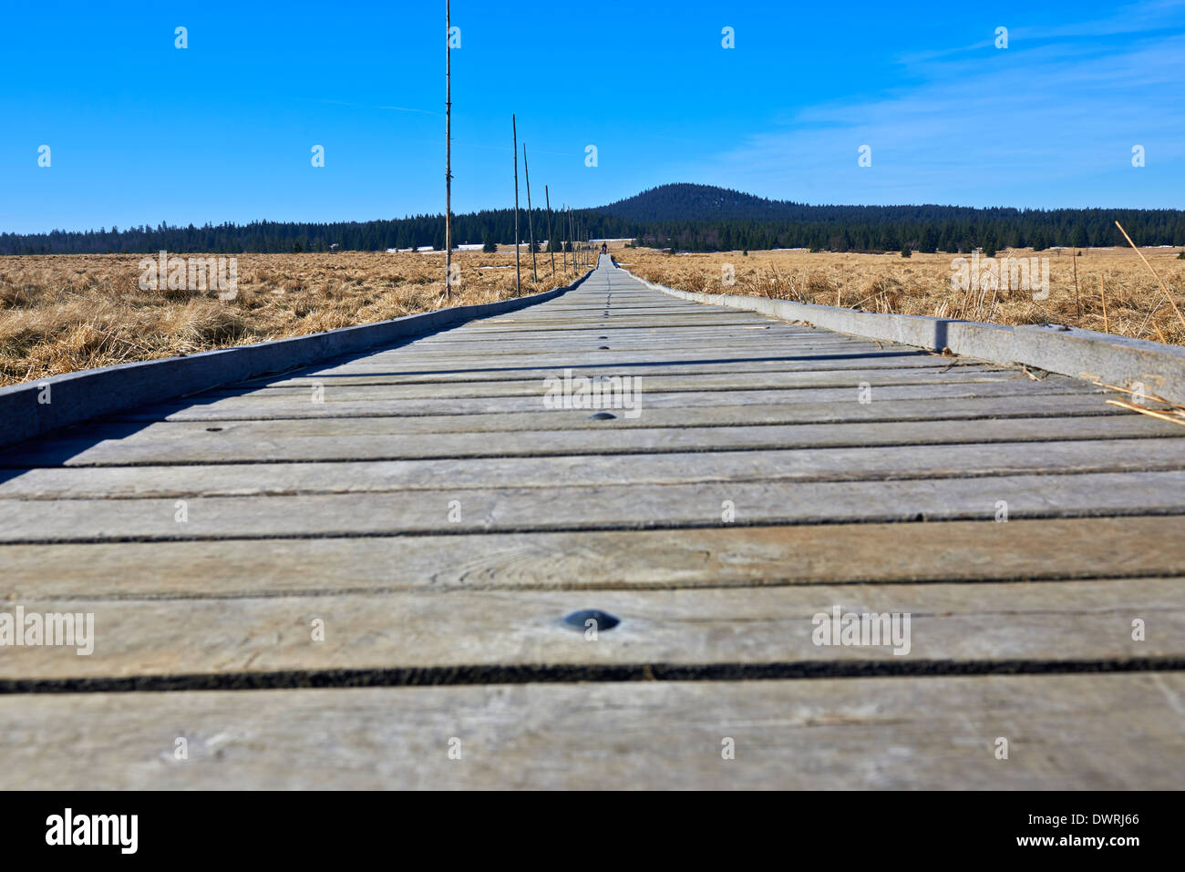 Naucna stezka Bozidarske raseliniste, Bozi dar pathway, Ore mountains, Czech Republic. Bozidarske peat bog - educational trail Stock Photo