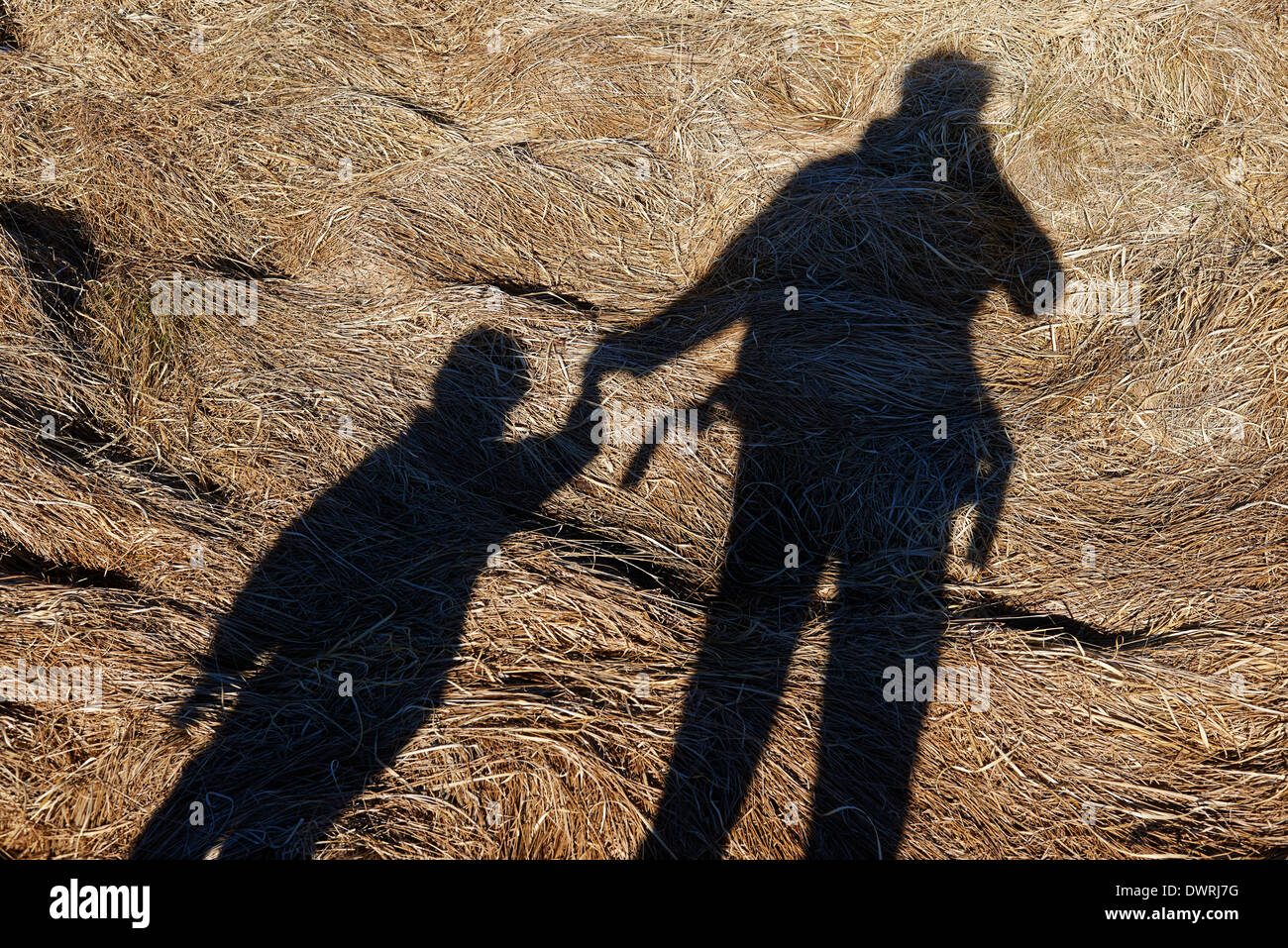 Spring Silhouettes And Shadows >> Selfie Shadow Portrait Of Photographer Father With His Daughter Spring Silhouettes And Shadows >> Selfie Shadow Portrait Of Photographer Father With His Daughter
