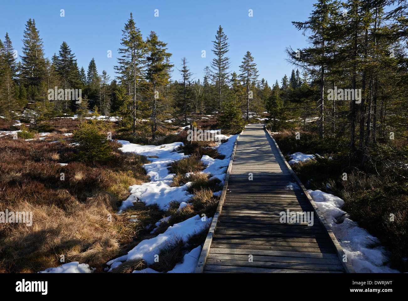 naucna-stezka-bozidarske-raseliniste-bozi-dar-pathway-ore-mountains
