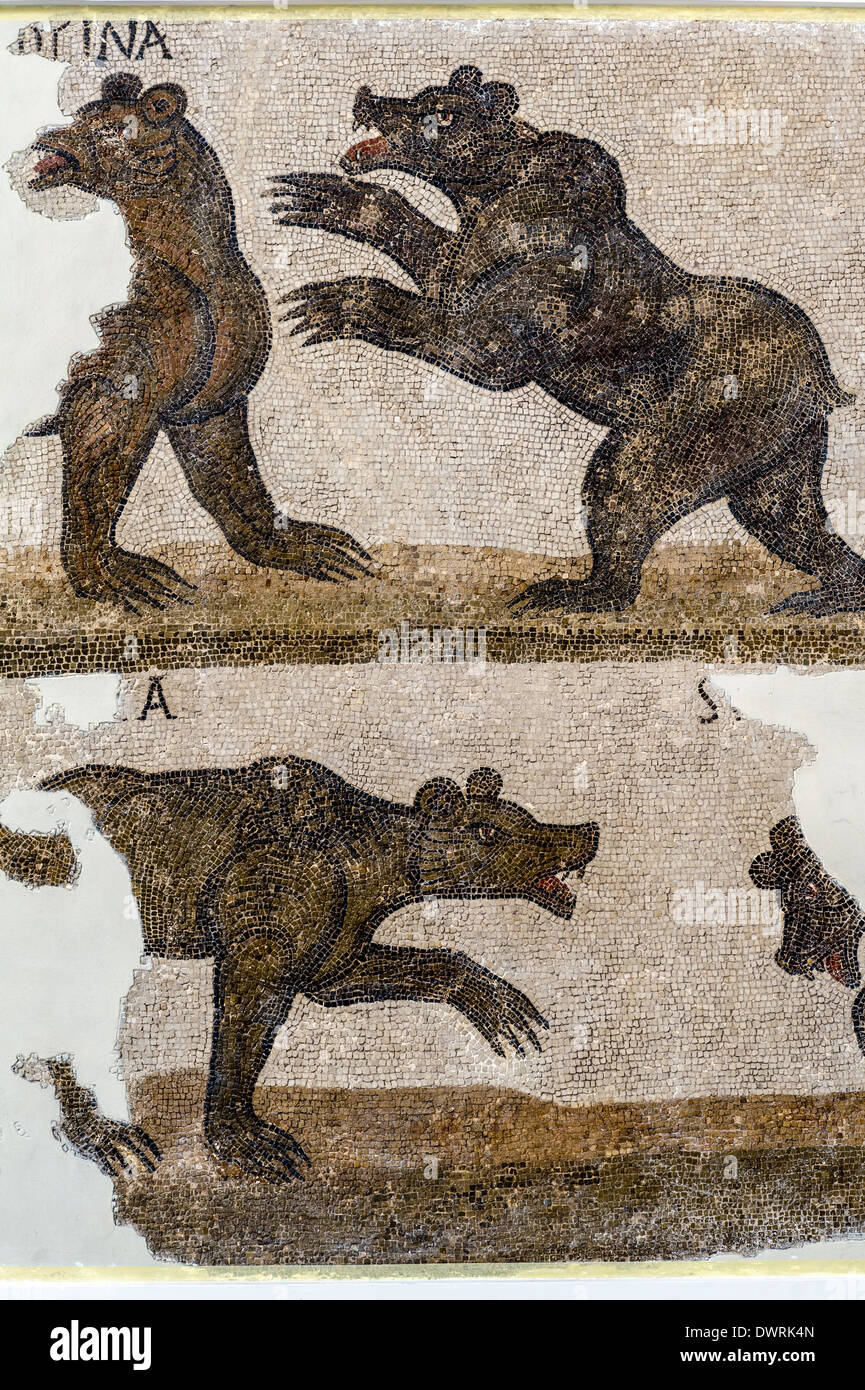 fresco animal jennies masculino le 227 o bebendo fresco animal jennies masculino le 227 o bebendo