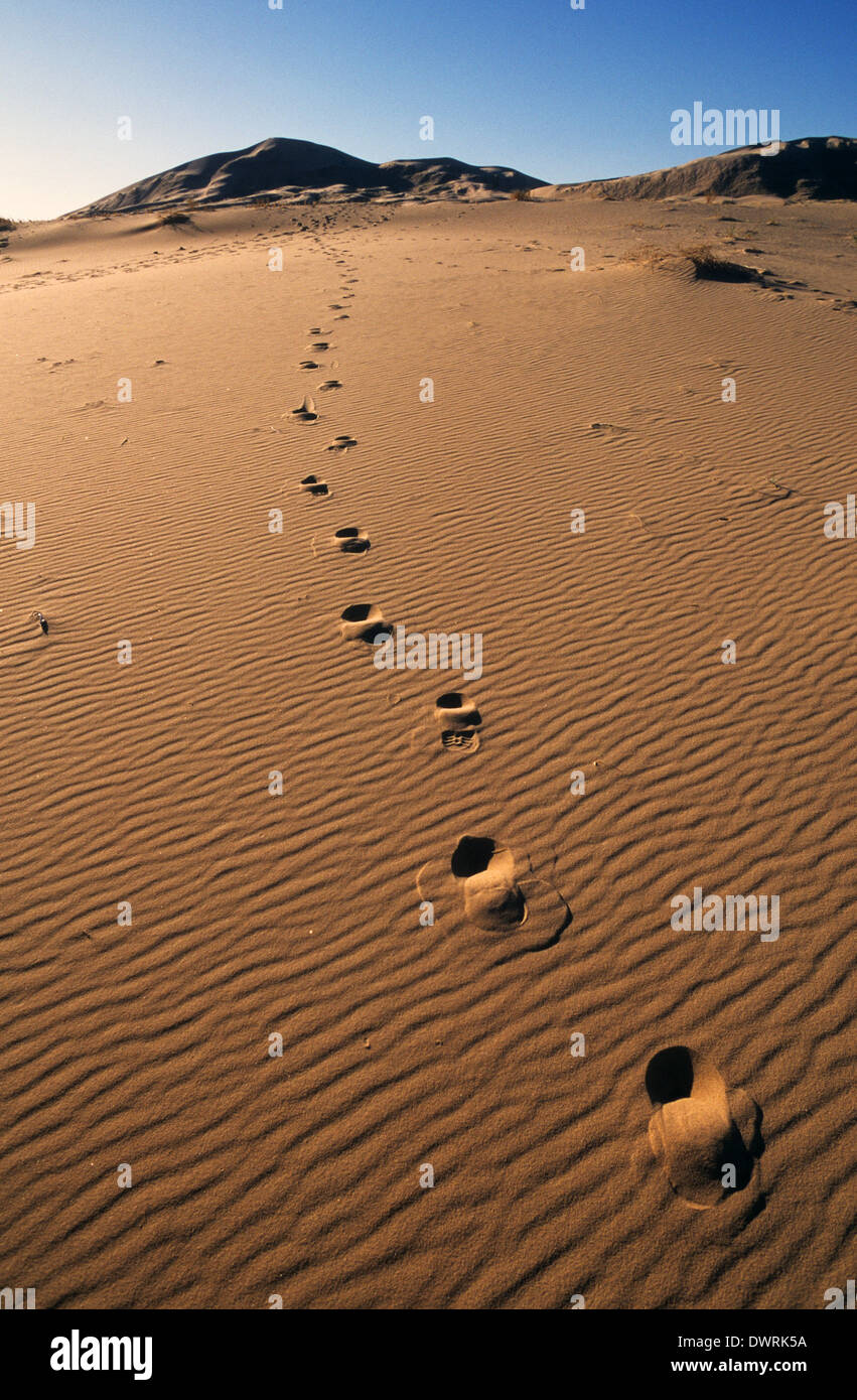 Elk248-2704v California, Mojave National Preserve, Kelso Dunes, footprints Stock Photo