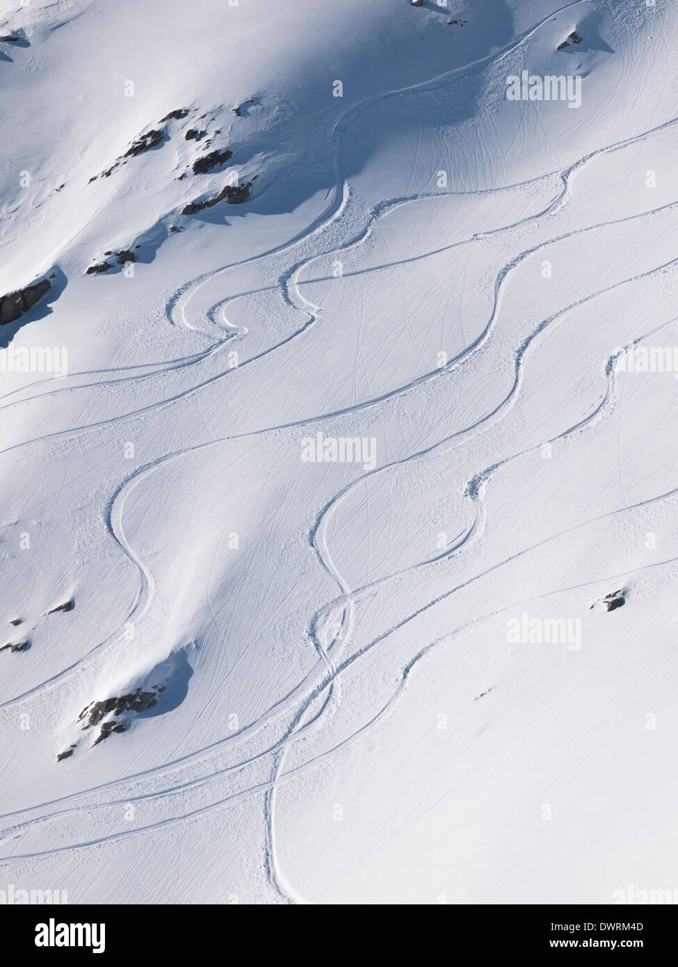 backcountry skiier trails on an untouched piste Stock Photo