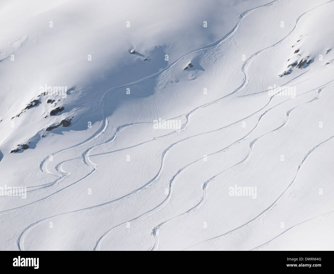 backcountry skiier trails on an untouched piste Stock Photo