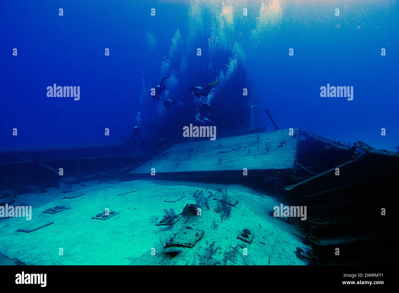 Divers explore the Odyssey Shipwreck in Roatan, Honduras. The 300 foot ...