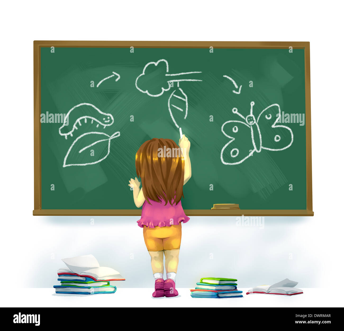 Illustration of girl drawing life cycle of butterfly on chalkboard in classroom Stock Photo