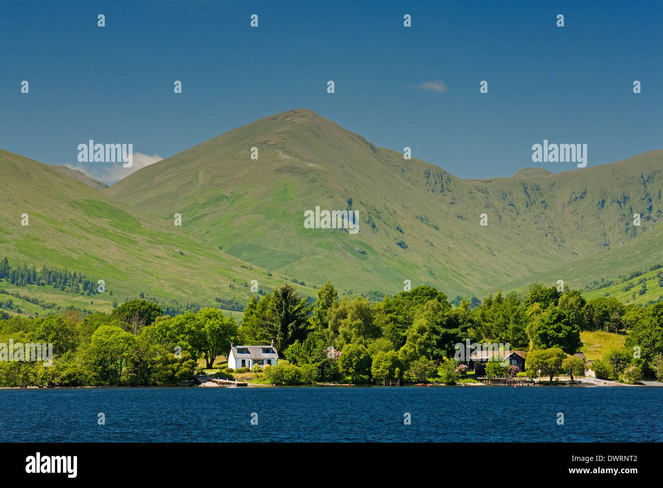 The island of Inchfad in Loch Lomond. The Luss Hills are in the background. Stock Photo