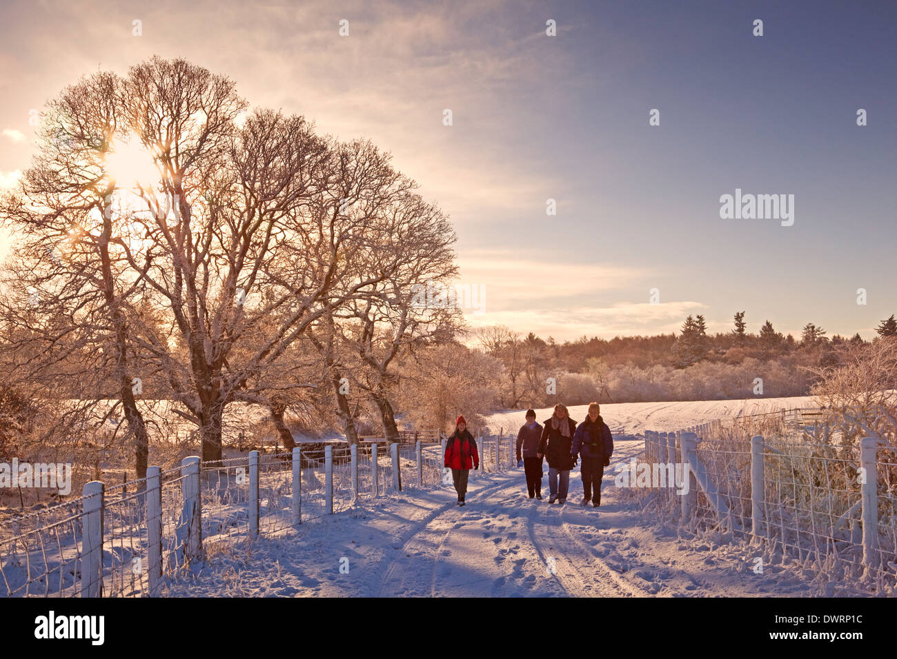 Winter walkers near Dunblane Stock Photo