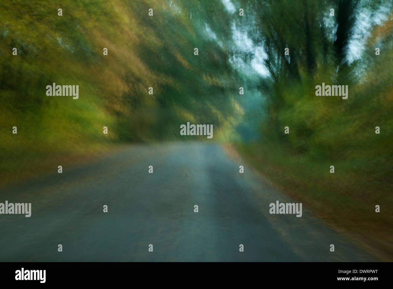 Abstract of a blurred road in trees on a rainy day Stock Photo