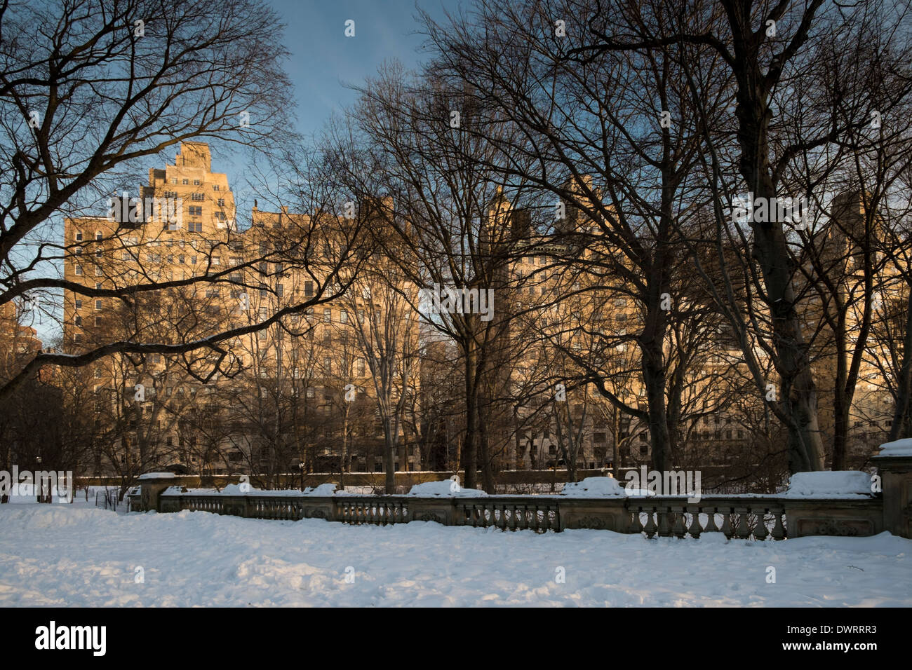 Central Park New York City USA after heavy snowfall Stock Photo - Alamy