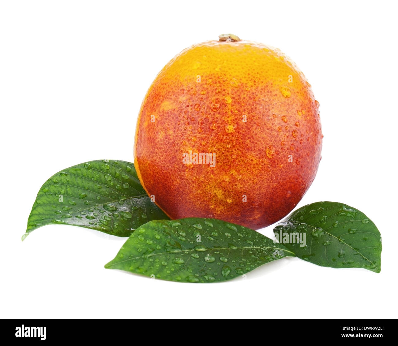 Ripe red blood oranges with green leaves isolated on white background. Closeup. Stock Photo