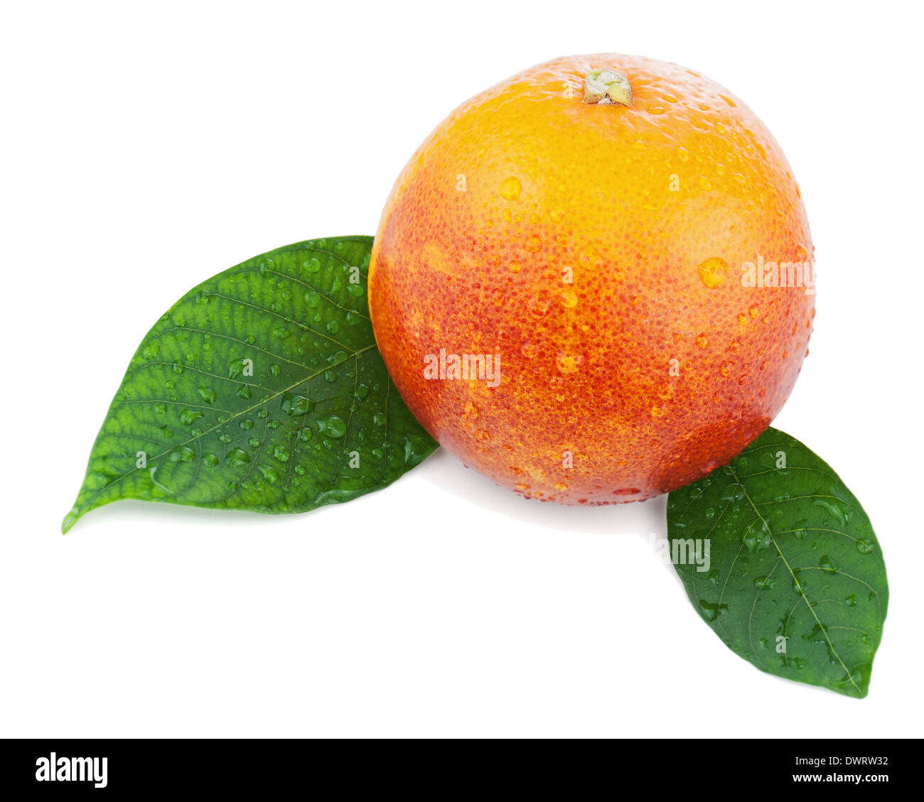 Blood orange with green leaves isolated on white background. Closeup. Stock Photo