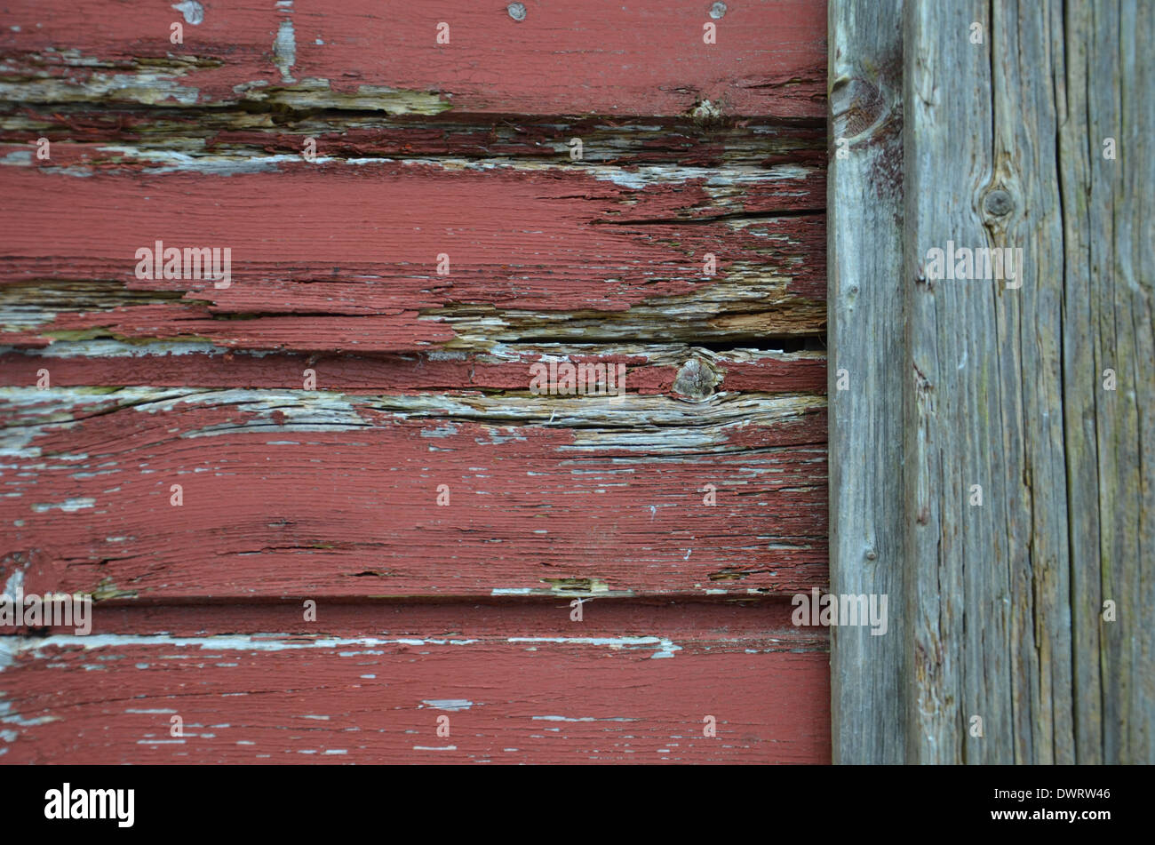 An old wooden surface. Stock Photo