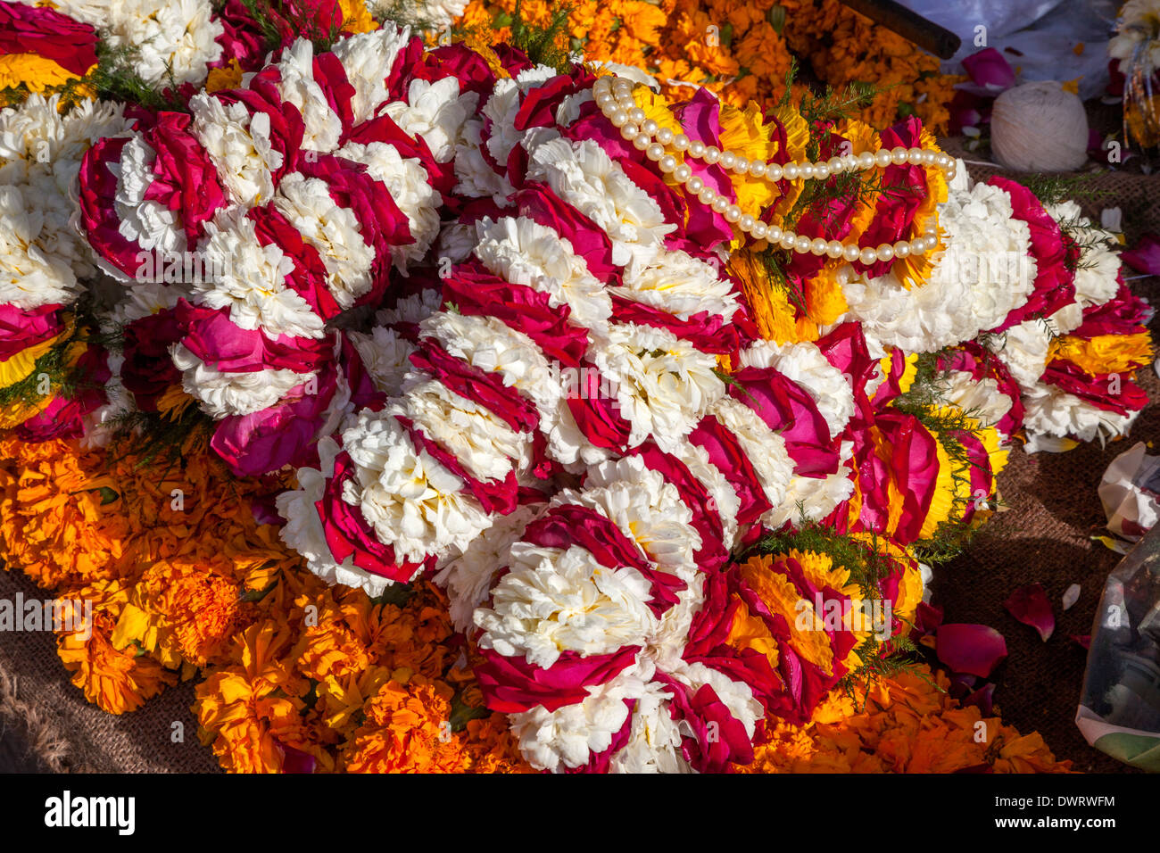 Jaipur, Rajasthan, India. Garlands of Marigolds or other Flowers as