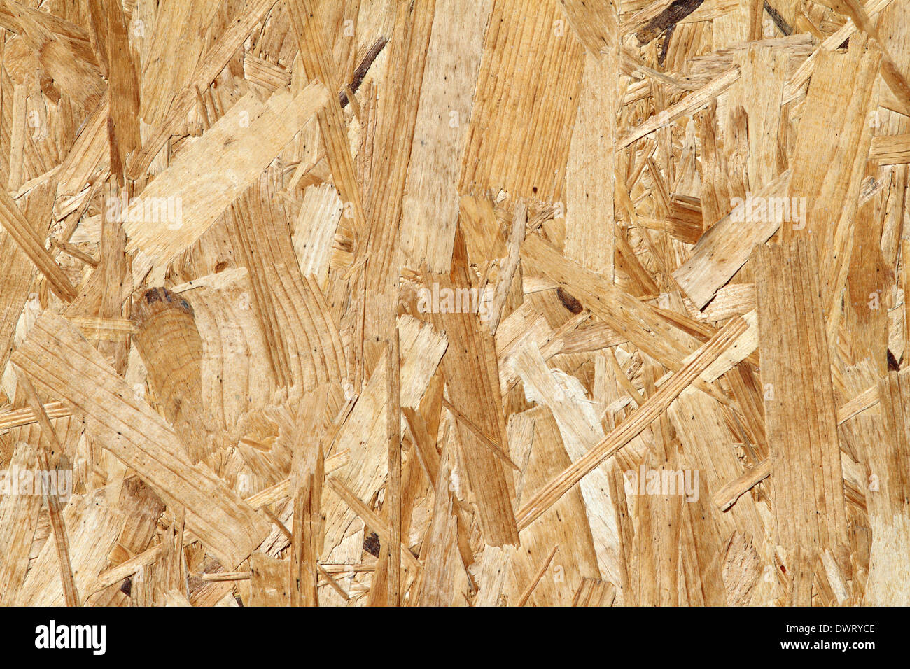 osb seamless texture ( orientated strand board ) , an engineered wood product Stock Photo