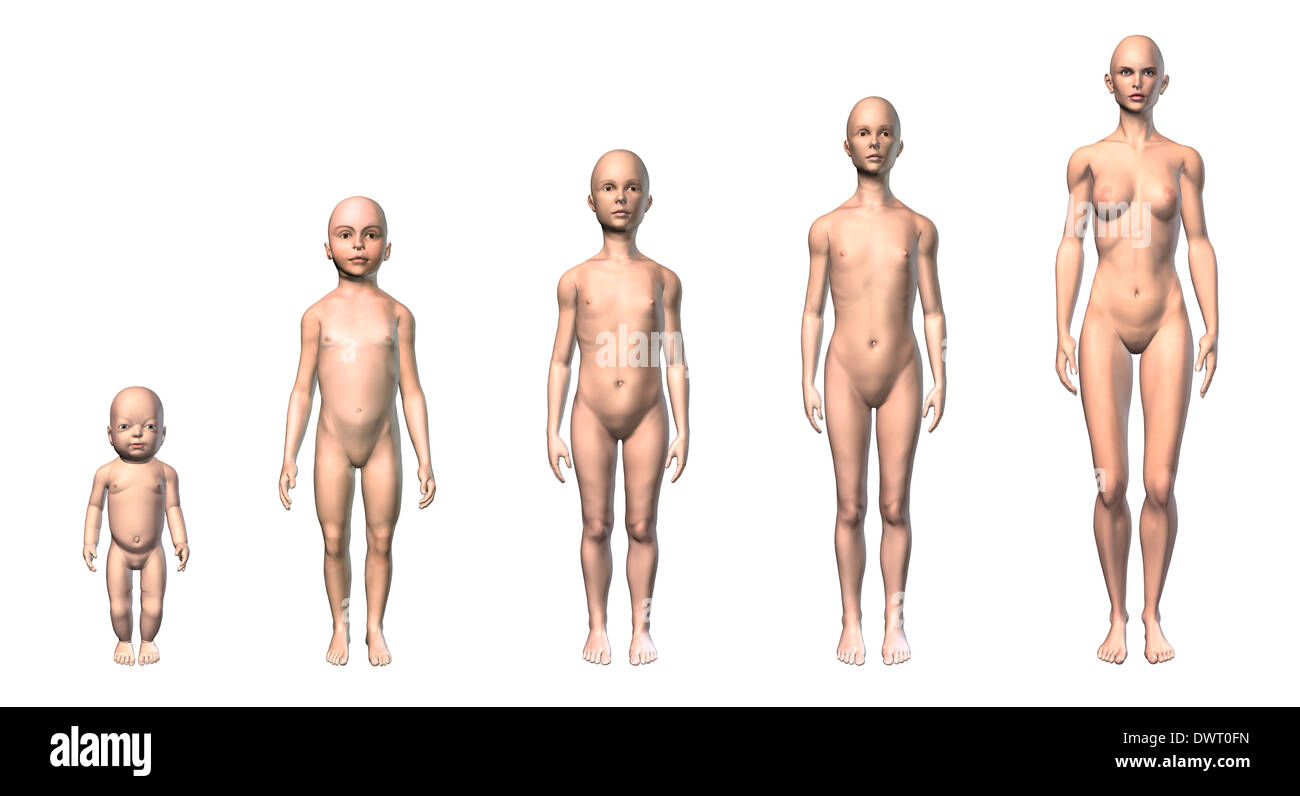 Female human body scheme of different ages stages, showing five different  ages with relative body shapes. On white background Stock Photo - Alamy